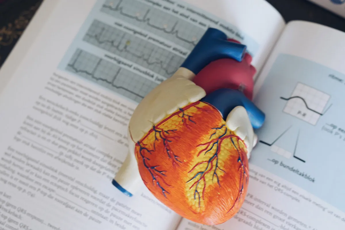 Best Medical Books for Medical Students